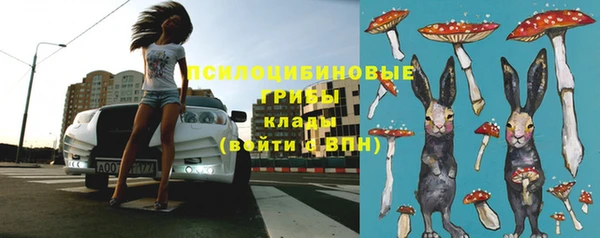 МДПВ Алексин