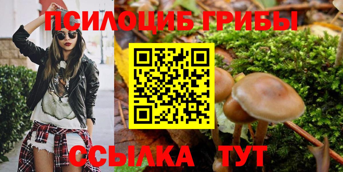Галлюциногенные грибы Psilocybe  Вход с VPN  Полевской 
